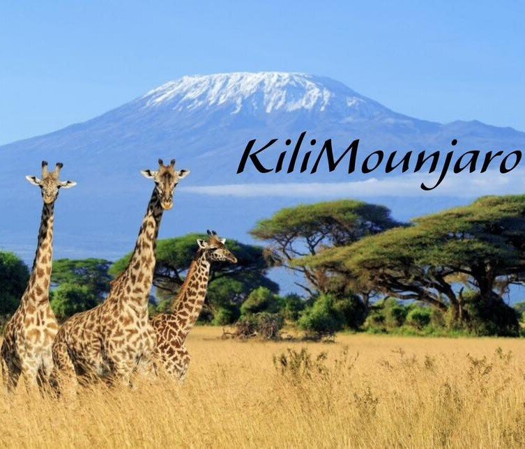 facebook mounjaro uk weight loss injection support